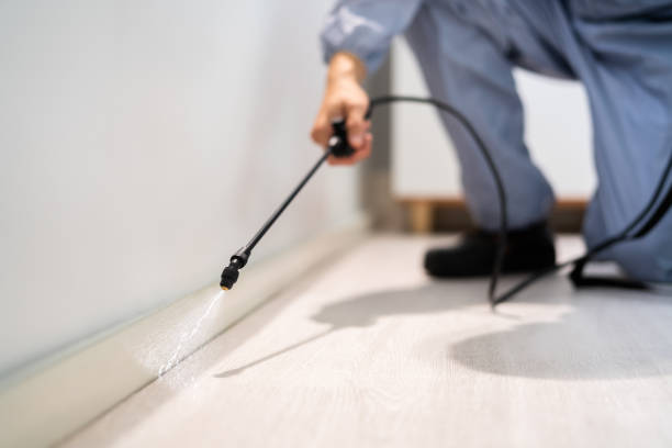 Licensed Termite Control service in Roberta, GA - Show Me Pest Control