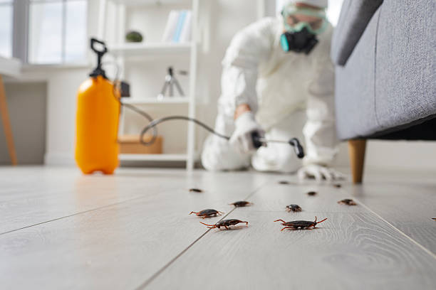 Commercial Rodent Management in Roberta